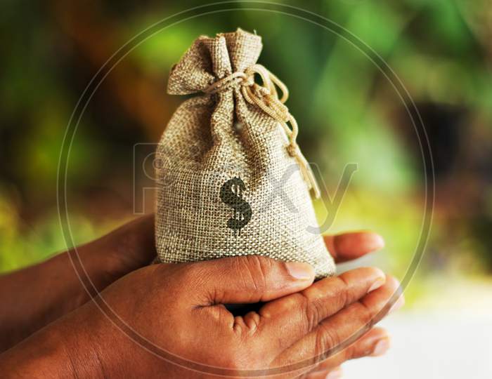 Money Bag In Hand