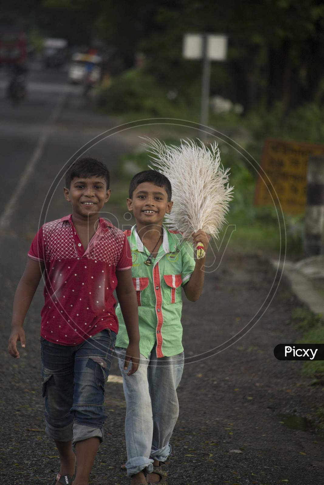 May 06 2019, Barisal, Bangladesh. The Children Of The Village Are Carrying Cashew Flowers In Their Hands
