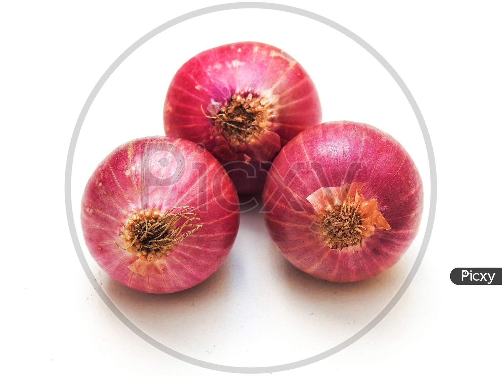 Image of Red Onions With Young Leaves Bud Isolated On White Background