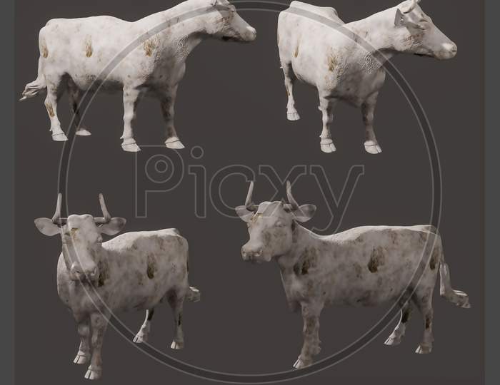 3D Cow Set Render From Different Angles For Vfx, Animation Movie And Video Game Projects