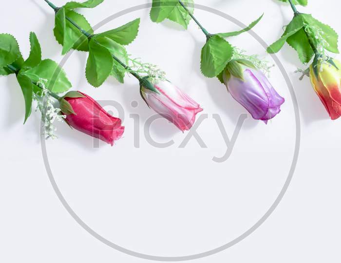 Multi-Colored Tulips On White Background. Wedding. Birthday. Happy Women'S Day. Mothers Day. Valentine'S Day. Flat Lay, Top View, Copy Space