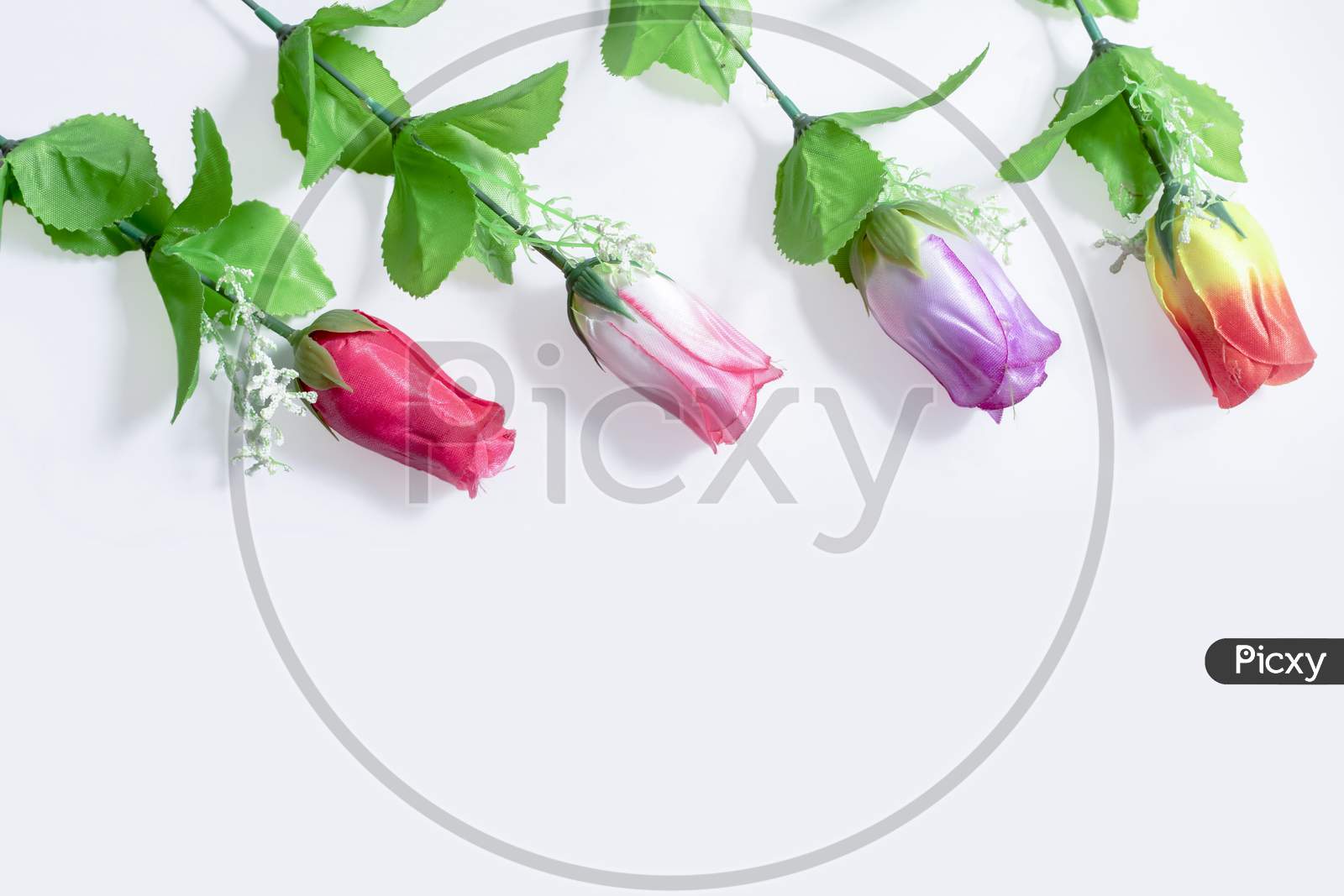 Multi-Colored Tulips On White Background. Wedding. Birthday. Happy Women'S Day. Mothers Day. Valentine'S Day. Flat Lay, Top View, Copy Space