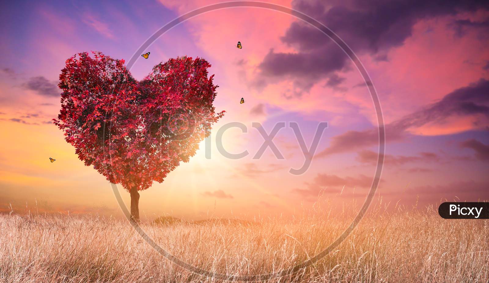 Heart Tree Love For Nature Red Landscape At Sunset 22453529 Stock Photo at  Vecteezy