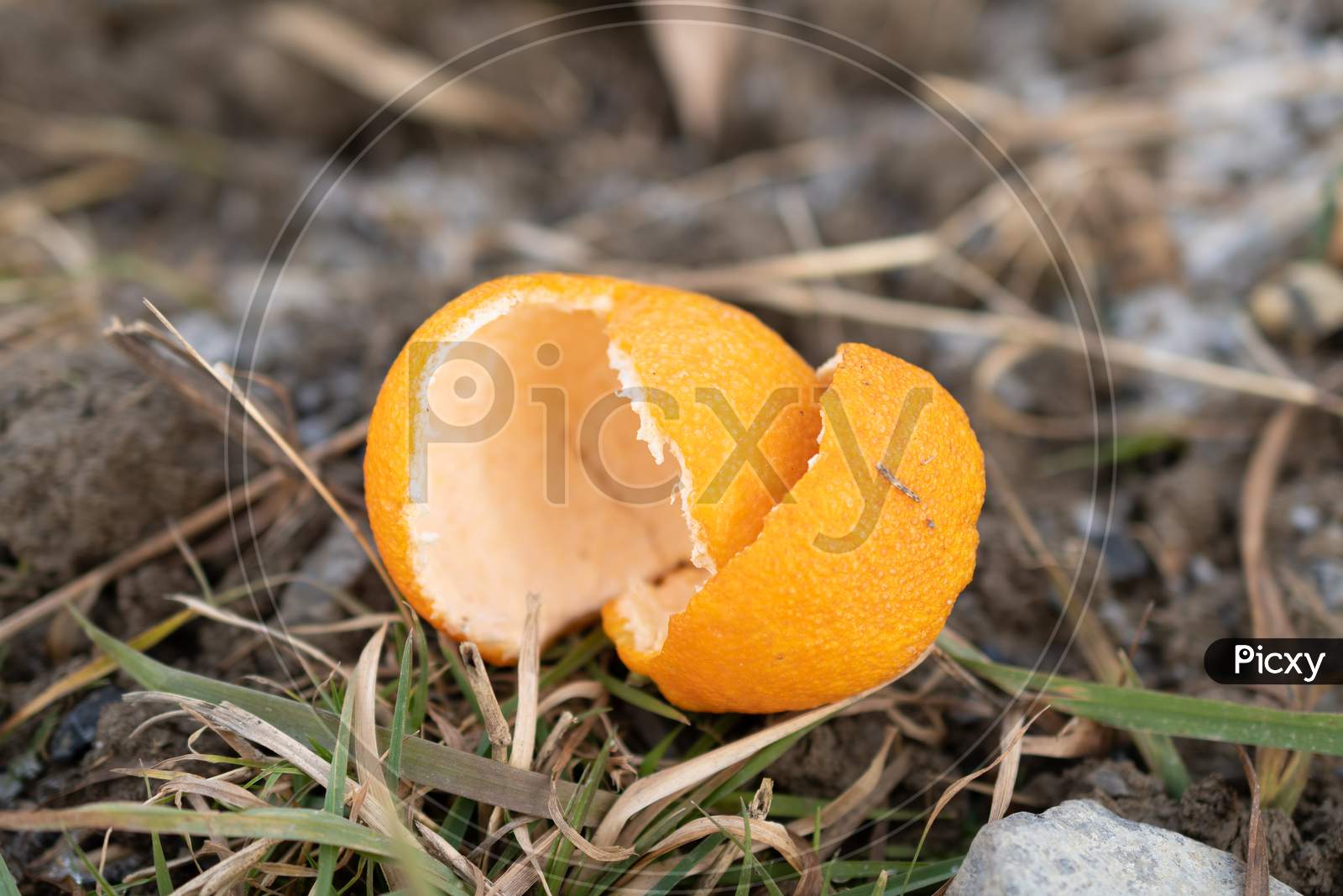 Orange Peel On A Field In Vaduz In Liechtenstein