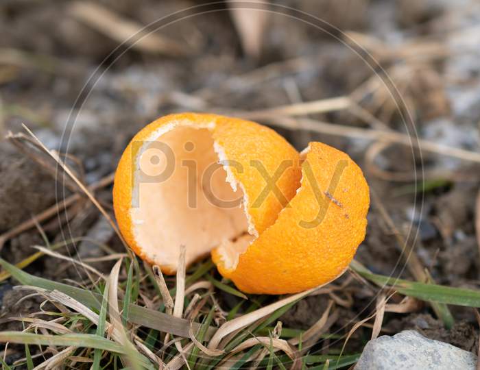 Orange Peel On A Field In Vaduz In Liechtenstein