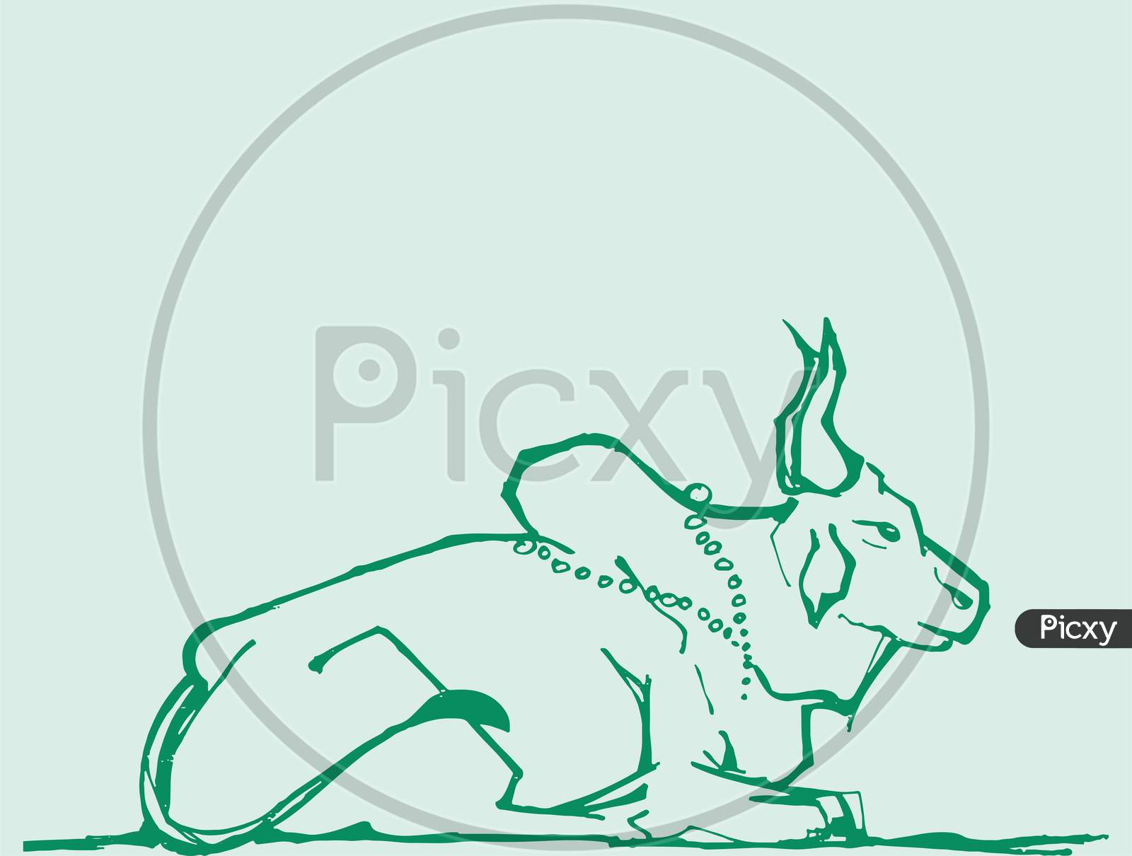 Sketch Of Indian Domestic Cow And Calf Editable Outline Illustration.