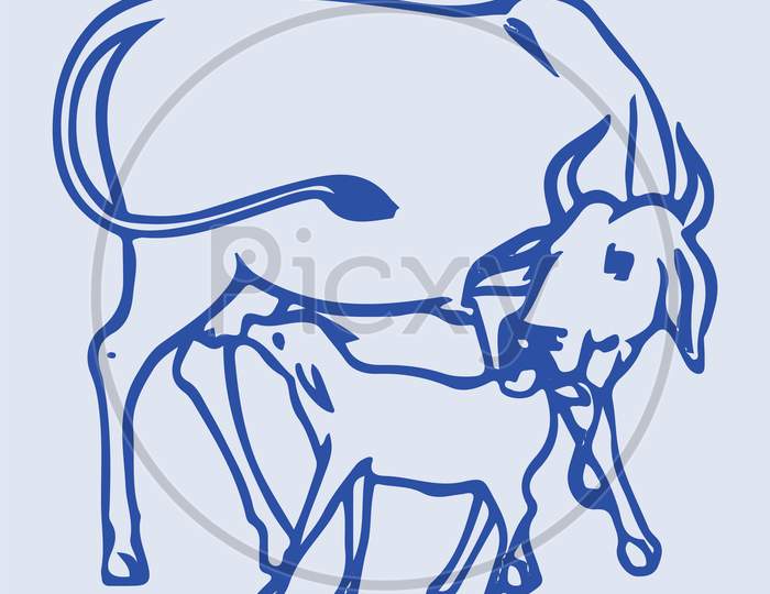 Sketch Of Indian Domestic Cow And Calf Editable Outline Illustration.