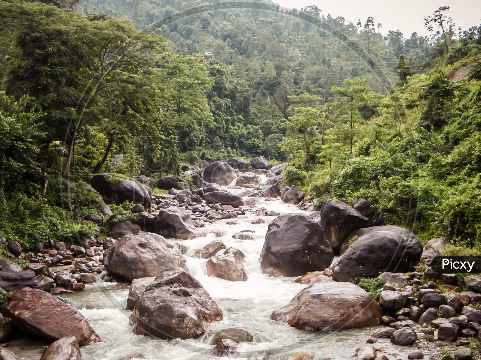Image of Main Tributary Of River Teesta, The Rangit River Flowing