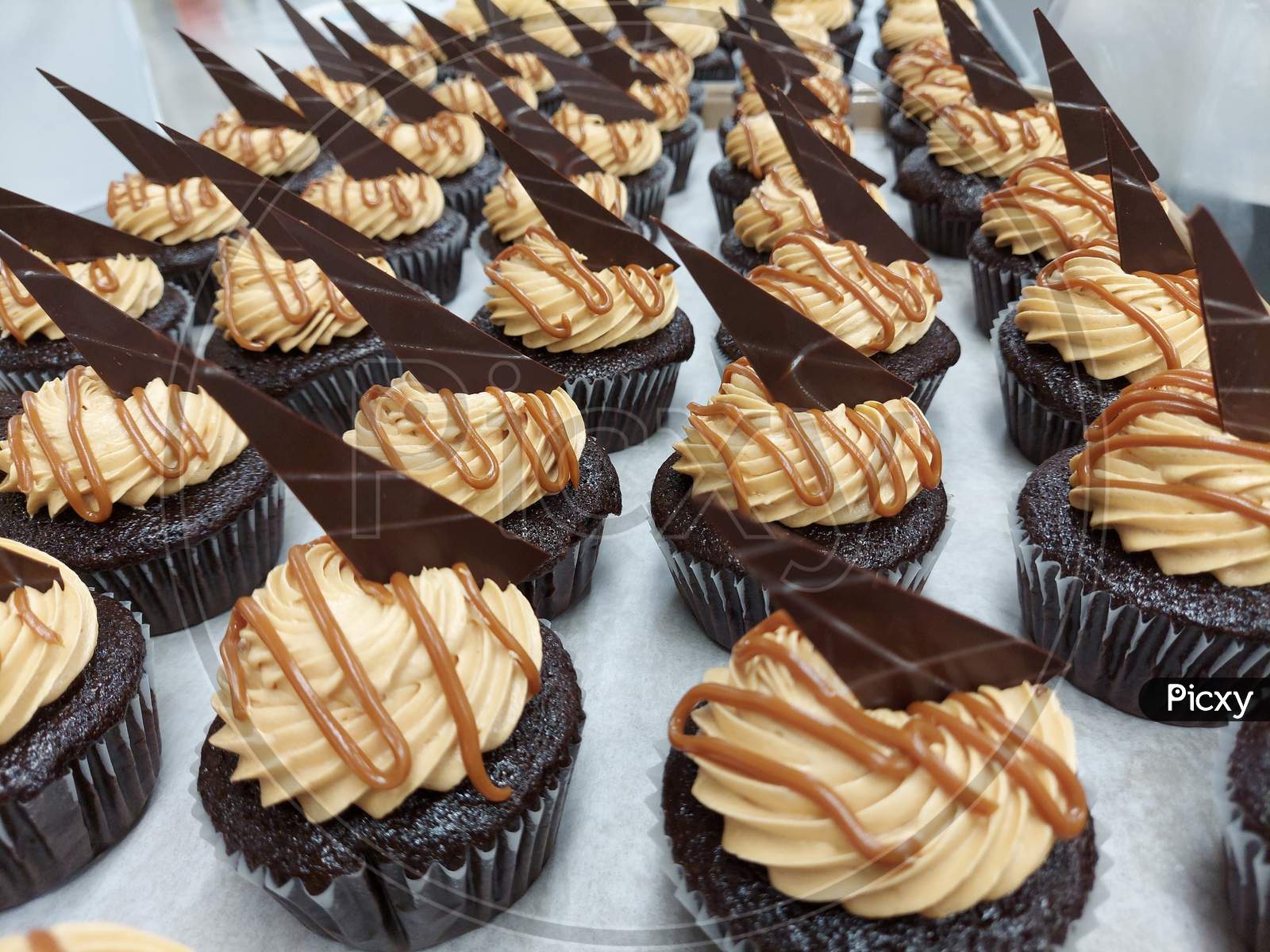 Dulce De Leche Cup Cake On A Tray With Chocolate Decoration