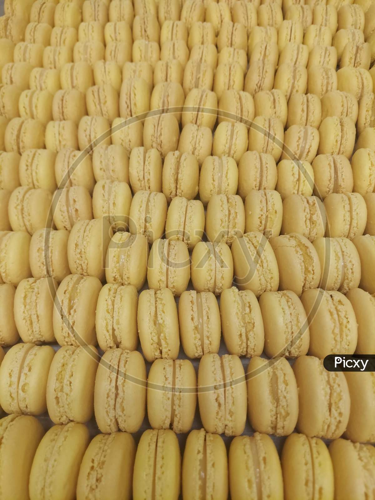 Number Of Yellow Macarons Arranged In A Tray