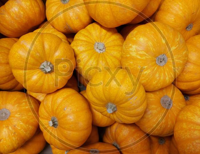 Number Of Pumpkins Close Up View