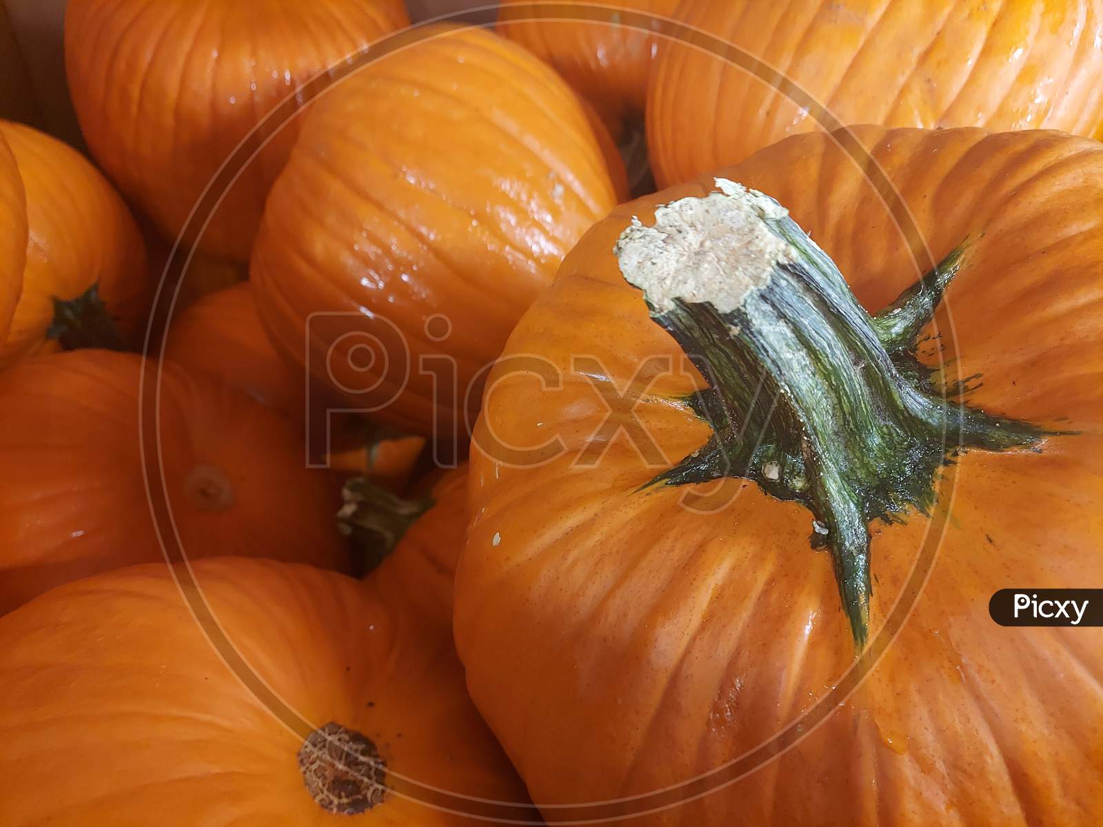 Close Up View Of A Pumpkins In A Basket
