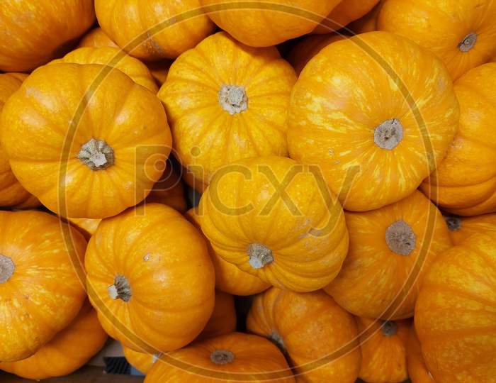 Number Of Pumpkins Close Up View