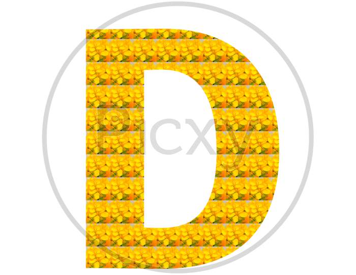 Letter D Alphabet
