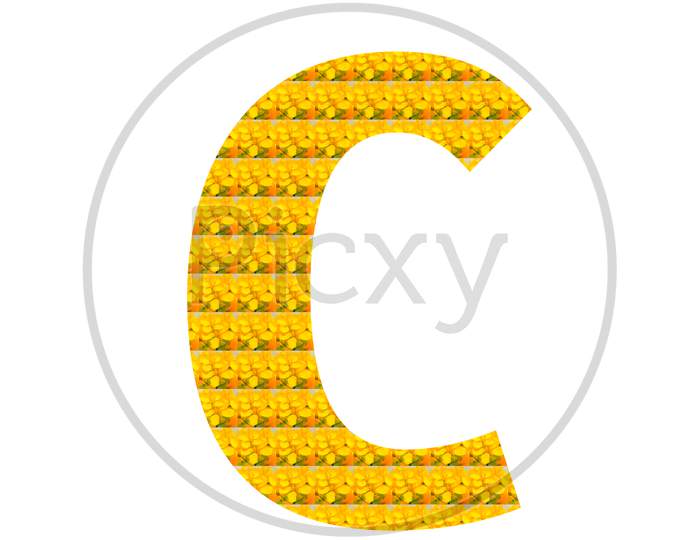 Letter C Alphabet