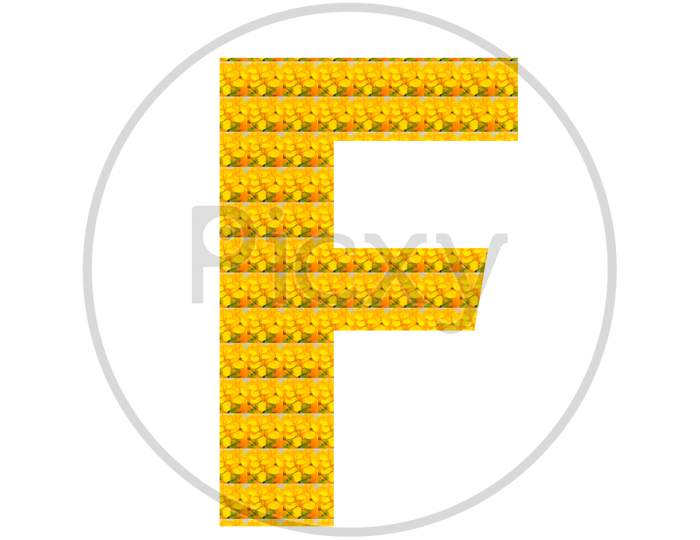 Letter F Alphabet