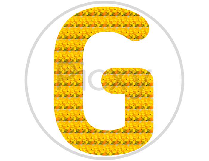 Letter G Alphabet