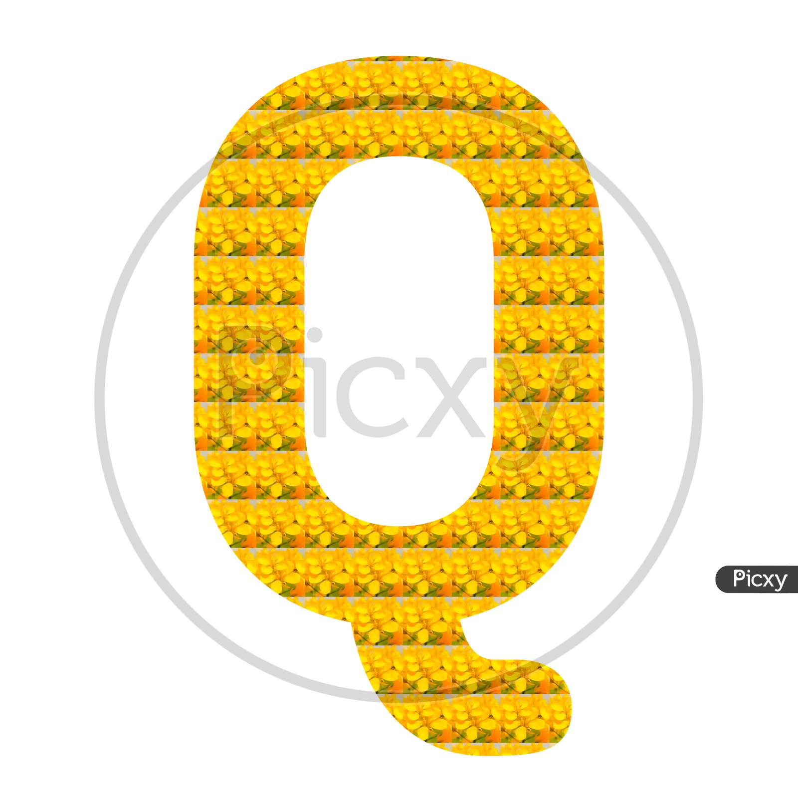 Letter Q Alphabet