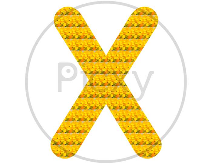 Letter X Alphabet