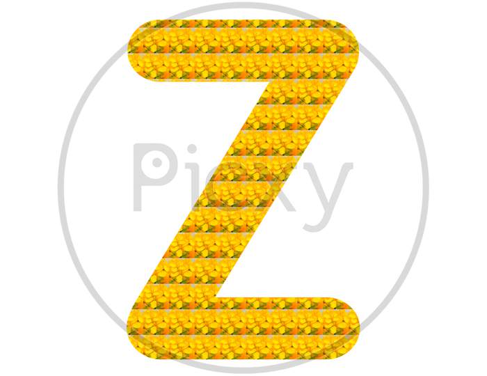 Letter Z Alphabet