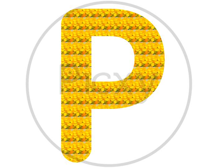 Letter P Alphabet