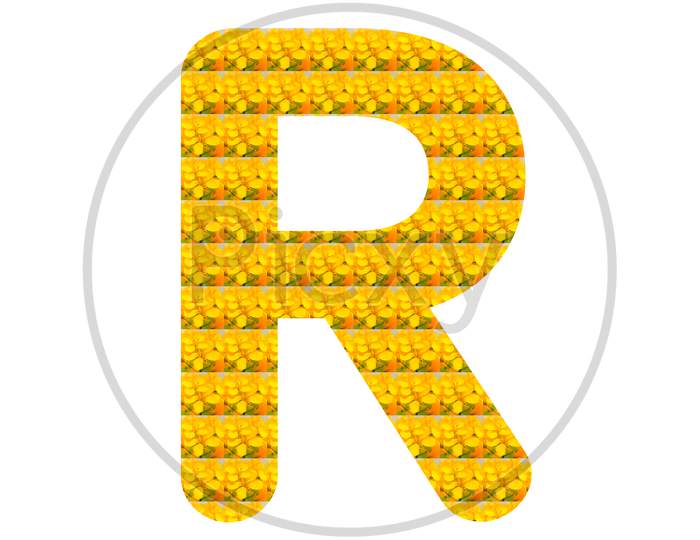 Letter R Alphabet