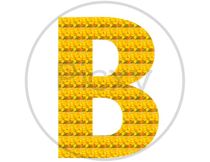 Letter B Alphabet