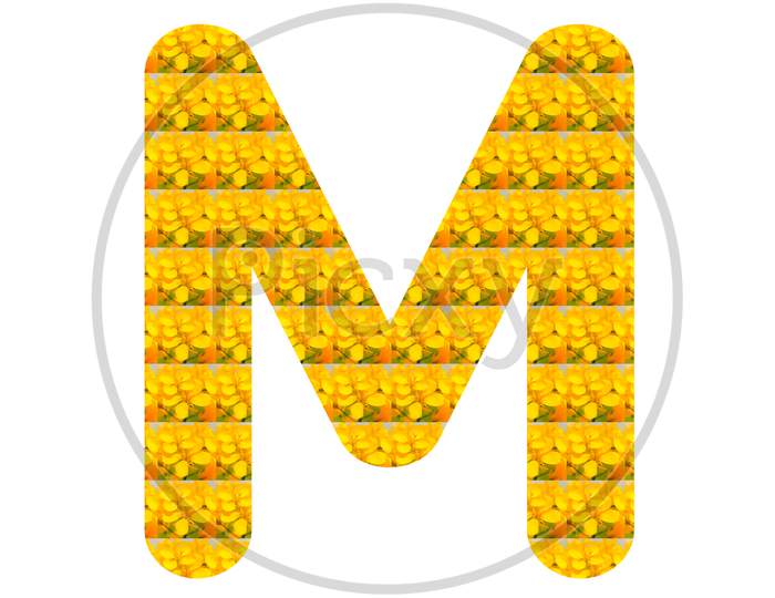 Letter M Alphabet