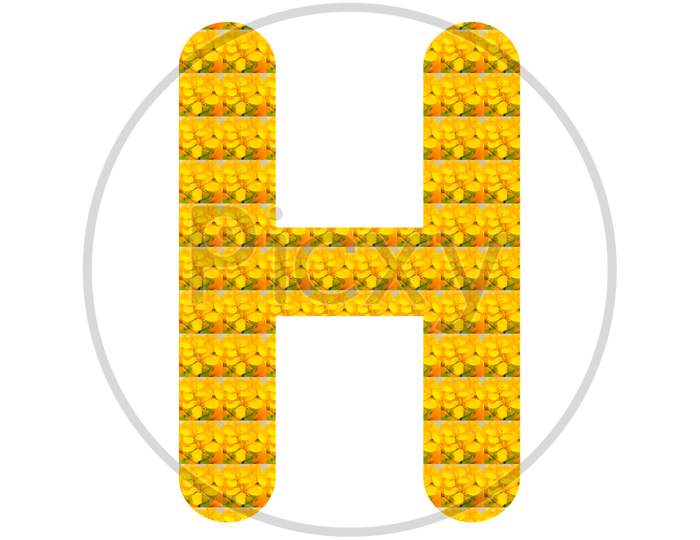 Letter H Alphabet