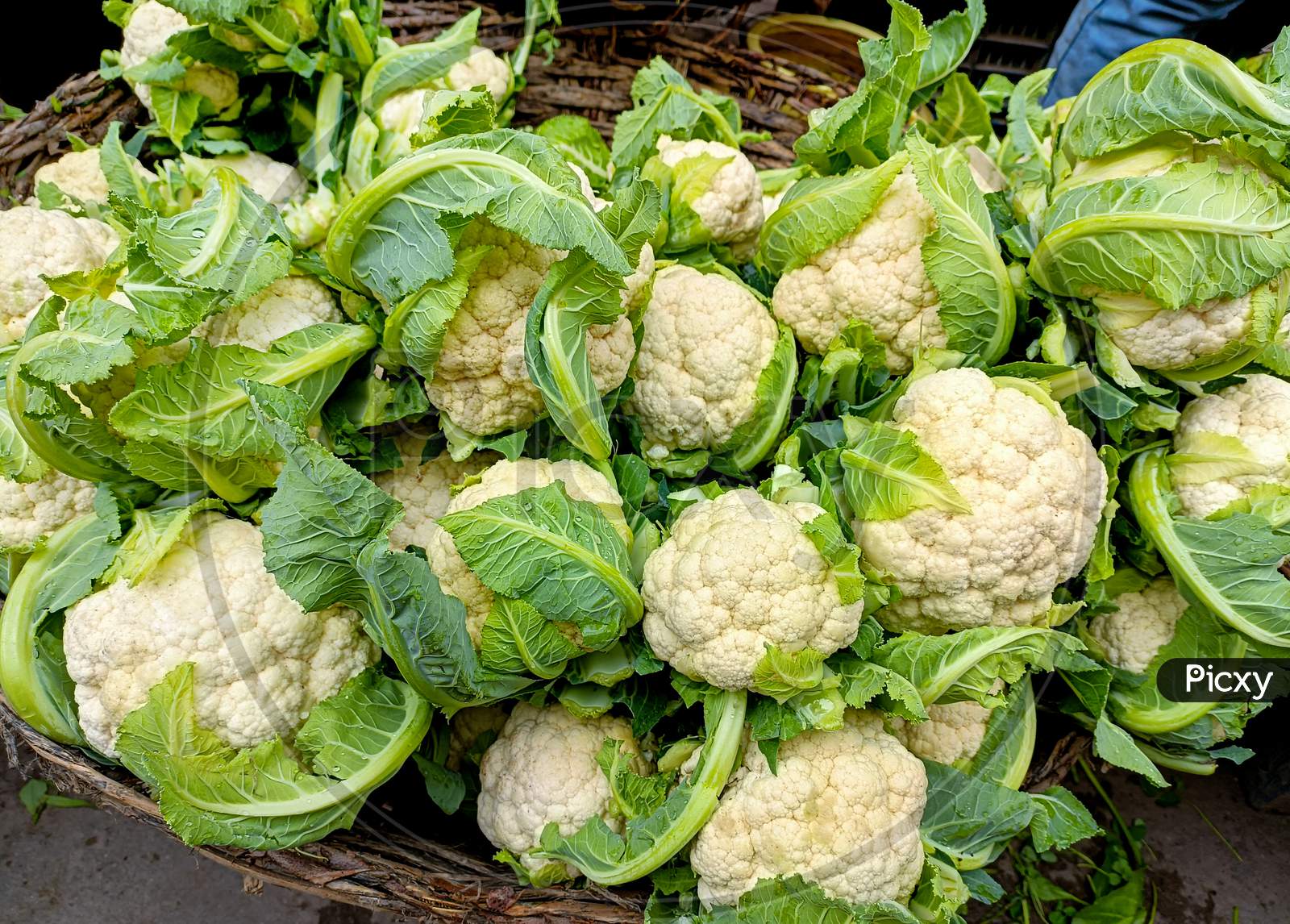 Group Of Cauliflower, Fresh Cauliflower For Sale At A Market