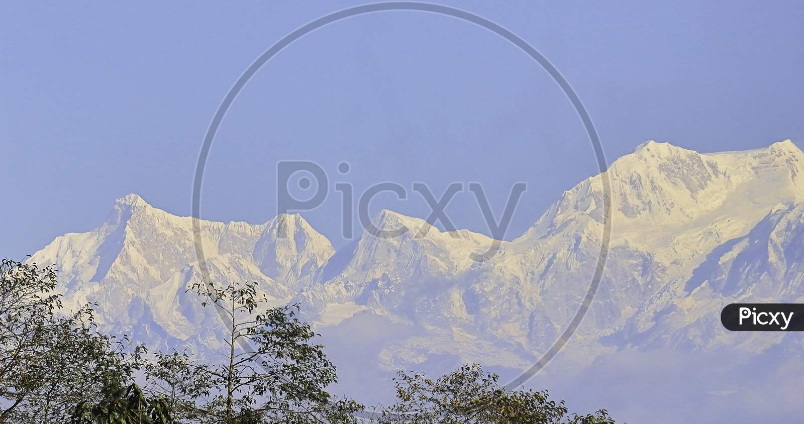 snowcapped himalaya, mount kumbhakarna or jannu and mount kabru from lepcha jagat near darjeeling in west bengal, india