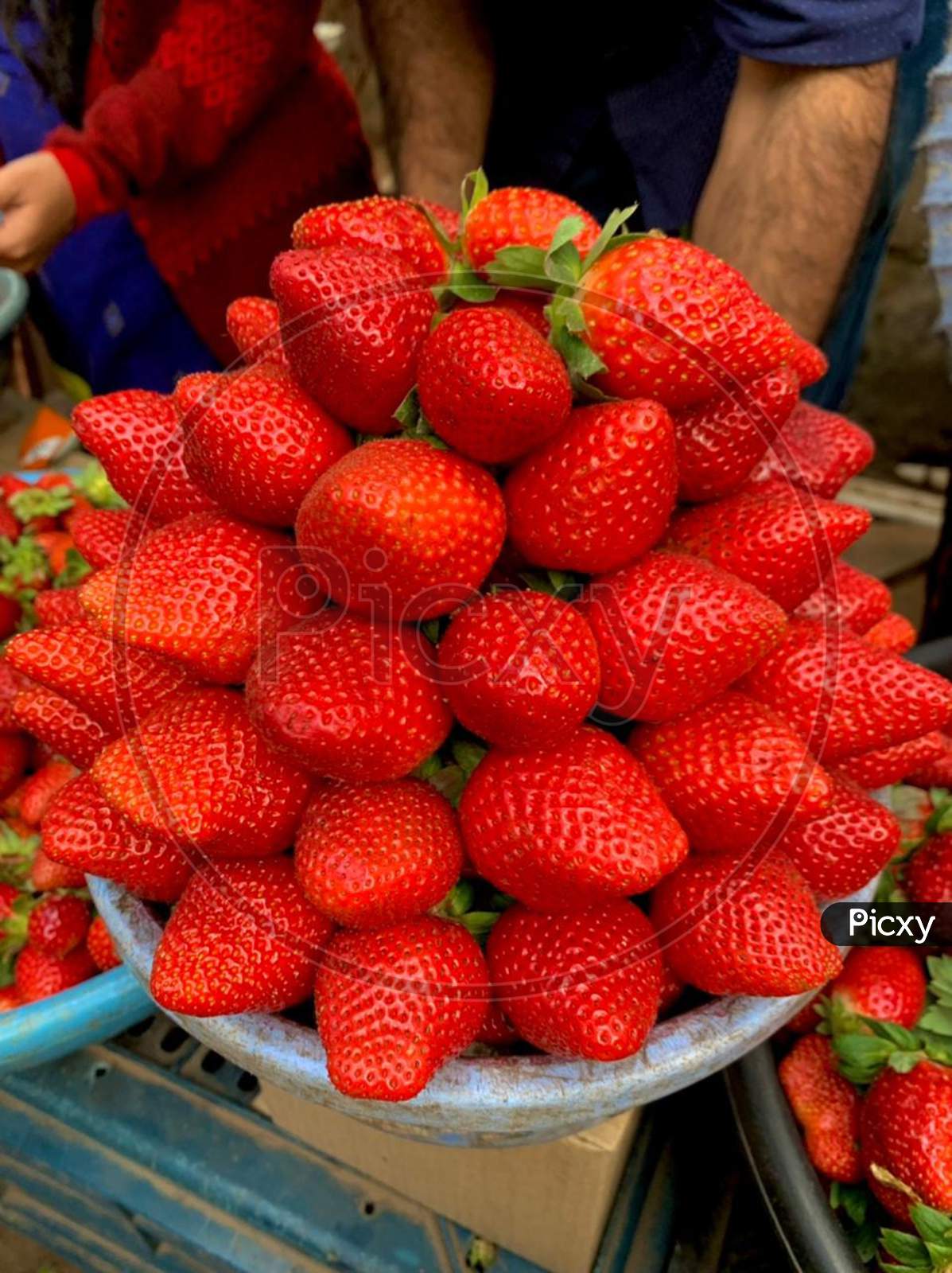 The Garden Strawberry Is A Widely Grown Hybrid Species Of The Genus Fragaria, Collectively Known As The Strawberries