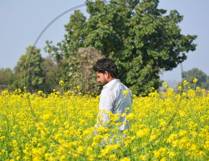 Young indian farmer at black mustard field