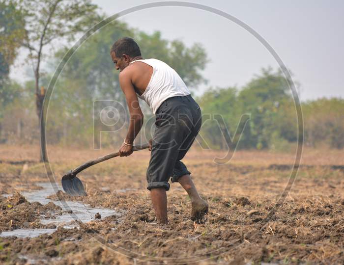 Indian farmer working in agriculture field