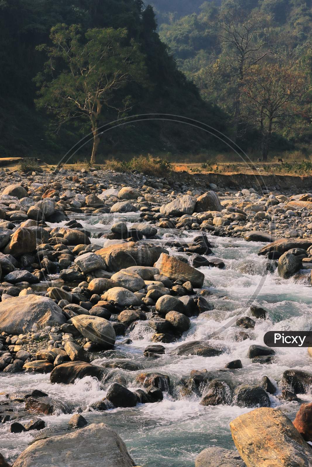 mountain stream (balason river) flowing down to the gangetic plain from himalayan foothills in the terai region of west bengal, india