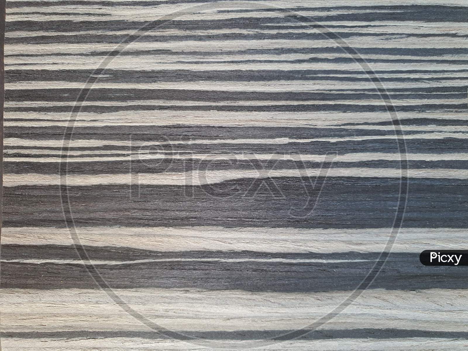 Natural Paladio Grey Wood Texture Background. Veneer Surface For Interior And Exterior Manufacturers Use.