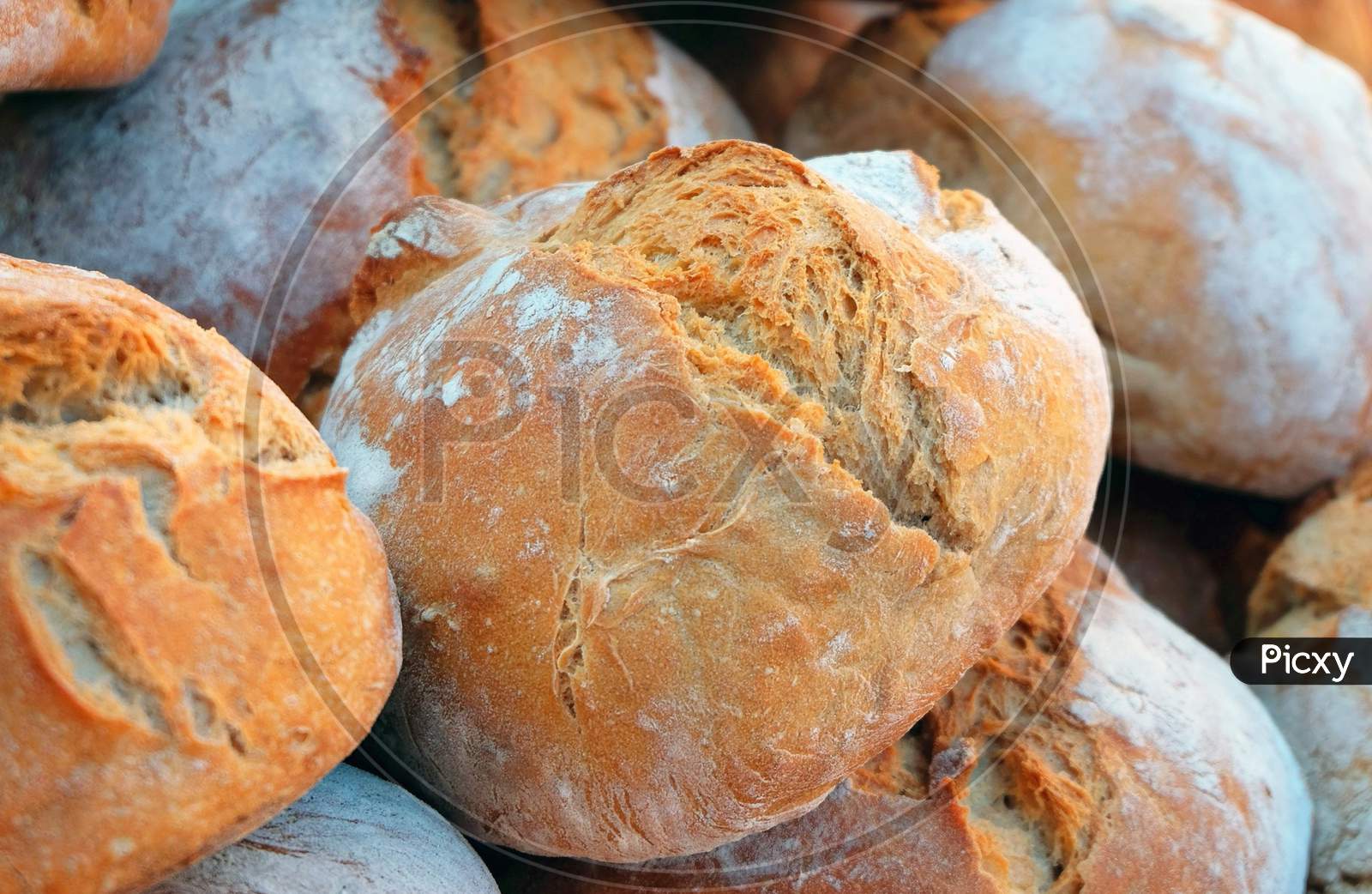 Bread is a staple food prepared from a dough of flour usually wheat and water, usually by baking.